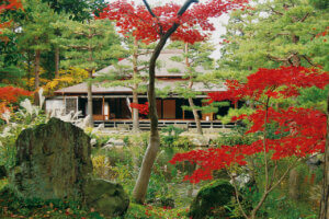 �S���������H�̋x�����B�V���e�n�̐����x�[�J���[�����ł����X�|�b�g�b�V���c�s�̉摜8