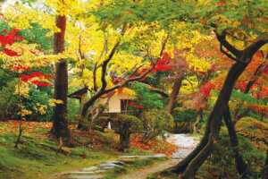 �S���������H�̋x�����B�V���e�n�̐����x�[�J���[�����ł����X�|�b�g�b�V���c�s�̉摜9