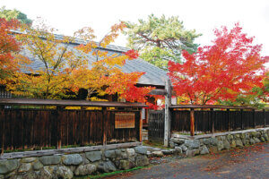 �S���������H�̋x�����B�V���e�n�̐����x�[�J���[�����ł����X�|�b�g�b�V���c�s�̉摜10