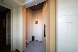 �{�i���i���J�W���A���ɁB�u�������߁i�N���S�j�v�����擌�x�ʂɃI�[�v���I �����O�̓��{���Ƃ̃y�A�����O���̉摜2