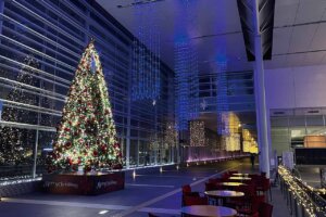 �V�� �~�̃C���~�l�[�V�������W 2025-2026�̉摜13