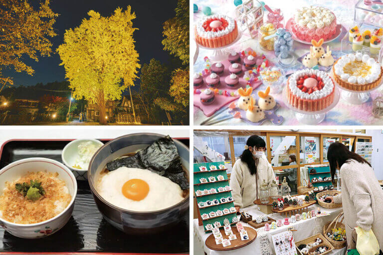 �����ɍs����V���C�x���g���b11/10(��)�`14(��)