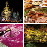 �����ɍs����V���C�x���g���b11/17(��)�`21(��)�̃��C���摜