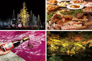 �����ɍs����V���C�x���g���b11/17(��)�`21(��)�̃��C���摜