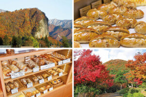 �S���������H�̋x�����B�V���e�n�̐����x�[�J���[�����ł����X�|�b�g�b����O���G���A�̃��C���摜