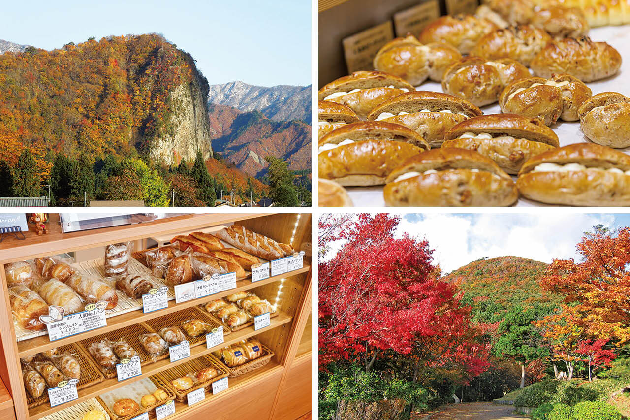 BAKERY FARM こむぎ｜&Komachi