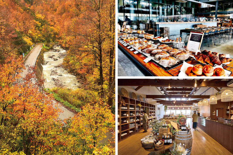 SH̋xBVen̐x[J[łX|bgb싛sGA