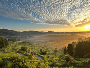 �����ɍs����V���C�x���g���b12/15(��)�`19(��)�̉摜7