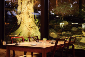 �H�����h etc.�撣���������ɑ���u�킽���̂��J�����ԁv�`�m�H�`�̉摜27