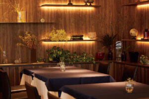 �H�����h etc.�撣���������ɑ���u�킽���̂��J�����ԁv�`�m�H�`�̉摜24