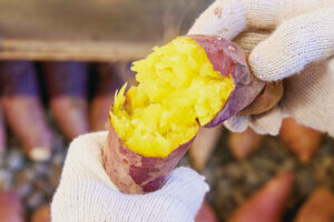 ���T���̐V���C�x���g���b12/13(�y)�E14(��)�J�Ẩ摜2