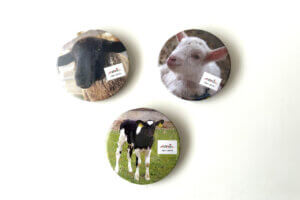 �N���N�n�̐V���C�x���g���2025-2026�b12/27(�y)�`1/4(��)�J�Ẩ摜19