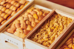 2025�N�H�~�I�[�v���I���ܐV���Řb��̐V�X18���̉摜4