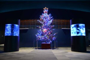 �V���̃N���X�}�X�C�x���g���W�b2025�̉摜11