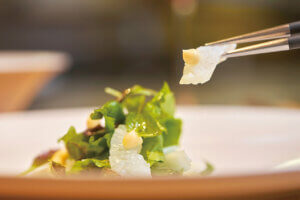 �H�����h etc.�撣���������ɑ���u�킽���̂��J�����ԁv�`�m�H�`�̉摜44