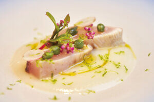 �H�����h etc.�撣���������ɑ���u�킽���̂��J�����ԁv�`�m�H�`�̉摜46