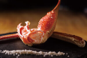 �H�����h etc.�撣���������ɑ��邲�J���v�������Љ�u�킽���̂��J�����ԁv�`�a�H�`�̉摜18