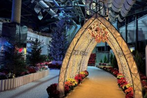 �V���̃N���X�}�X�C�x���g���W�b2025�̉摜14