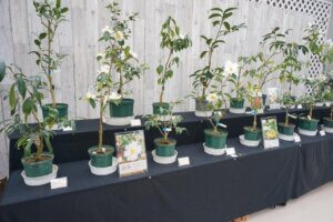 �����ɍs����V���C�x���g���b1/5(��)�`9(��)�̉摜4