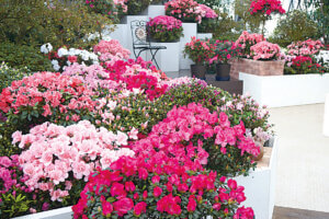 �����ɍs����V���C�x���g���b2/2(��)�`6(��)�̉摜6