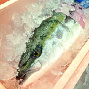 ���T���̐V���C�x���g���b1/24(�y)�E25(��)�J�Ẩ摜4