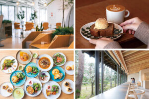 �}���٥�V���b�v�����h���I�{�݂ƈꏏ�ɖ��i�ł���V���́g���݃J�t�F�h6���̃��C���摜