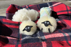 ���T���̐V���C�x���g���b1/24(�y)�E25(��)�J�Ẩ摜9