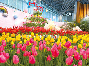 ���T���̐V���C�x���g���b1/24(�y)�E25(��)�J�Ẩ摜13