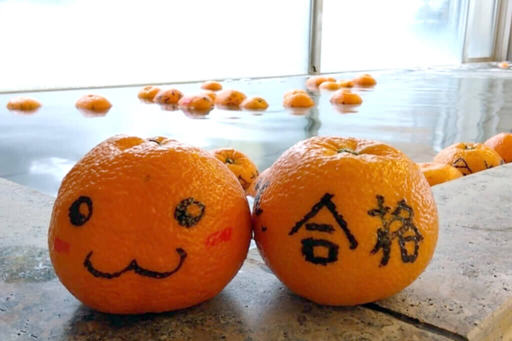 今週末の新潟イベント情報｜1/17(土)・18(日)開催 ｜&Komachi