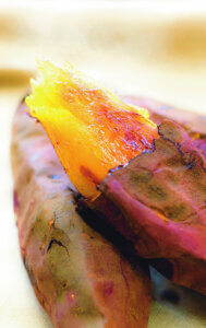 ���T���̐V���C�x���g���b1/31(�y)�E2/1(��)�J�Ẩ摜5