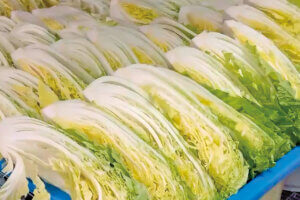 �{��̖��Ɋ����I�V���ɃI�[�v�������؍������̐V�X4���̉摜28