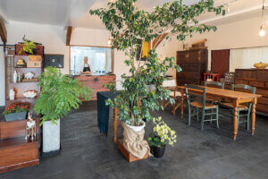 �{��̖��Ɋ����I�V���ɃI�[�v�������؍������̐V�X4���̉摜31