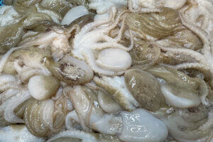 �{��̖��Ɋ����I�V���ɃI�[�v�������؍������̐V�X4���̉摜13