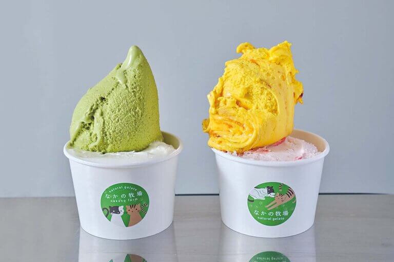 �����̃W�F���[�g�X���L�h�Ɉړ]�u�Ȃ��̖q�� natural gelato�v�l�C�̃~���N�ق�10�t���[�o�[��p��