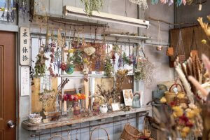 �h���C�t�����[�ƎG�݂̂��X�uherb village �؂̍��v�����s�Ɉړ]�I�[�v���@���f�Ï��̎���Ԃ̉摜4