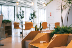 �}���٥�V���b�v�����h���I�{�݂ƈꏏ�ɖ��i�ł���V���́g���݃J�t�F�h6���̉摜5