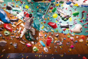 �}���٥�V���b�v�����h���I�{�݂ƈꏏ�ɖ��i�ł���V���́g���݃J�t�F�h6���̉摜14