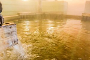 ���T���̐V���C�x���g���b1/31(�y)�E2/1(��)�J�Ẩ摜6