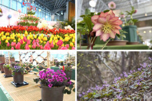 �����ɍs����V���C�x���g���b2/2(��)�`6(��)�̉摜11