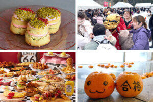 ���T���̐V���C�x���g���b1/17(�y)�E18(��)�J�Ẫ��C���摜